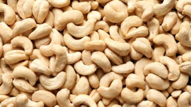 Close up of cashew nuts, representing the Trader Joe's cashews recall.