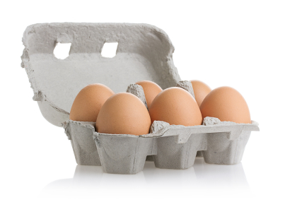 egg antitrust class action