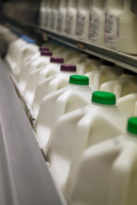 milk price-fixing lawsuit