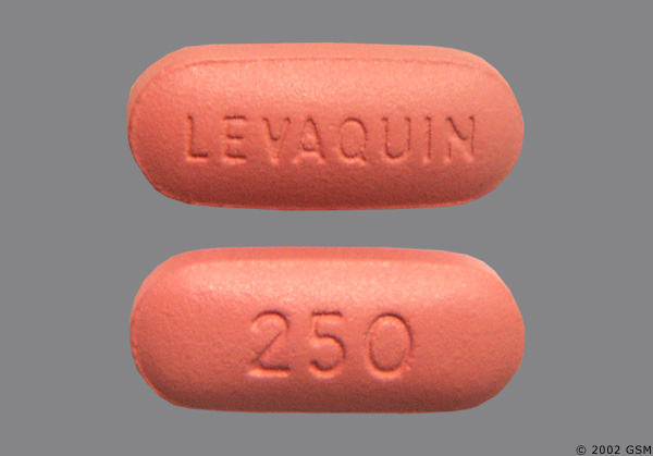 levaquin quinolone