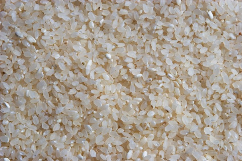 Close-Up of Uncooked Organic Sushi Rice
