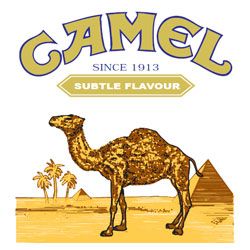 Camel class action lawsuit