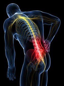 spinal-pain-illustration