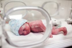 incubator-baby-clomid
