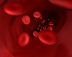 blood cells xarelto bleeding