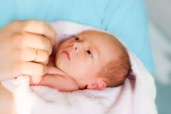 potrait of newborn baby in doctor's hands