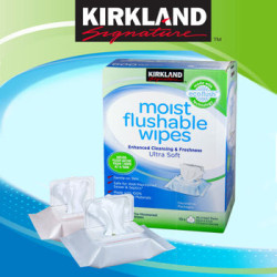 flushable wipes