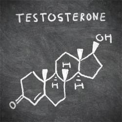 testosterone-formula-research