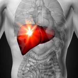 zithromax-liver-risk