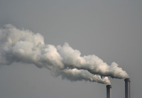 incinerator air pollution