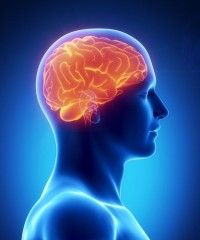 dilantin-brain-epilepsy