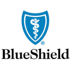 blue shield insurance logo