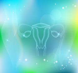 Female uterus beautiful transparent design, blue mesh colors