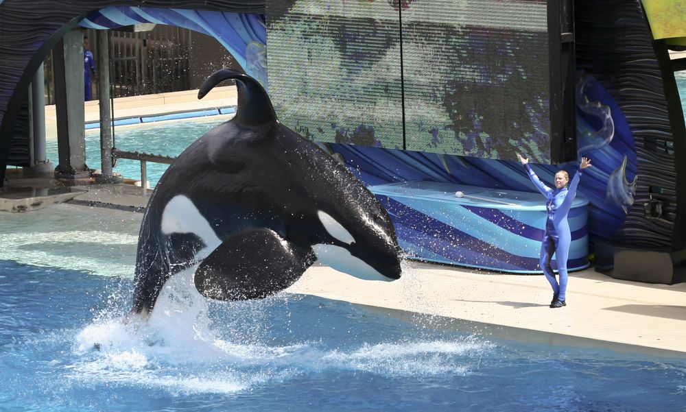 Seaworld annual pass holders are demanding a refund due to COVID-19.