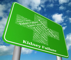 Invokana Acute Kidney Failure