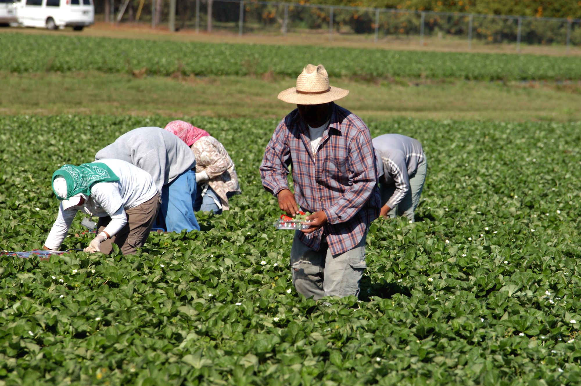 California-farmworker-overtime-bill