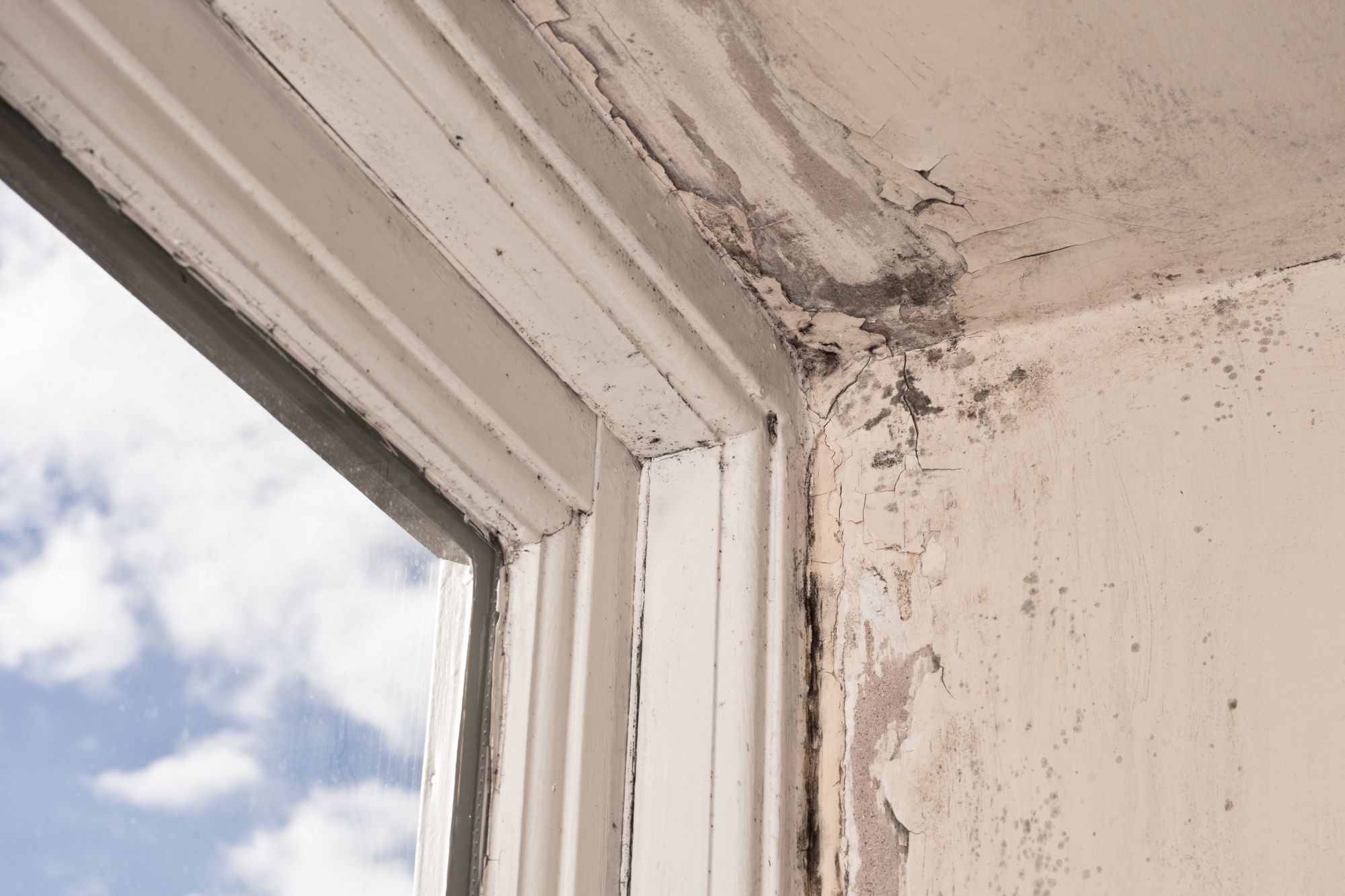 Pella Class Action Lawsuit Claims Window Defect Leads to Wood Rot Top