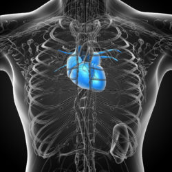 IVC Filter Injuries