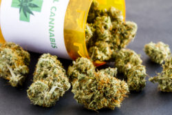 Marijuana spills out of a prescription drug bottle.