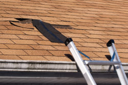 IKO Defective Roofing Shingles