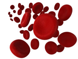 Xarelto stroke bleeding bleed hemorrhage