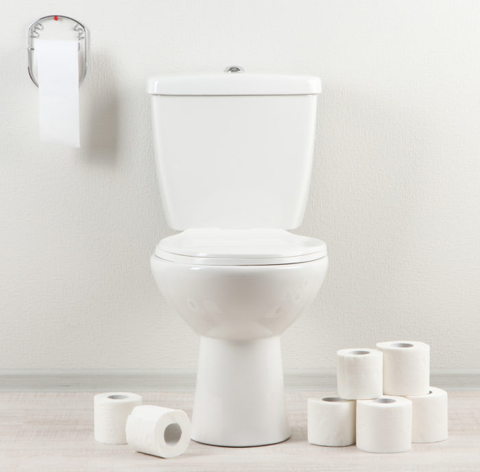 Champion Toilets Class Action Says Flush Valve Seal is Defective