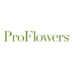 ProFlowers.com floral arrangements