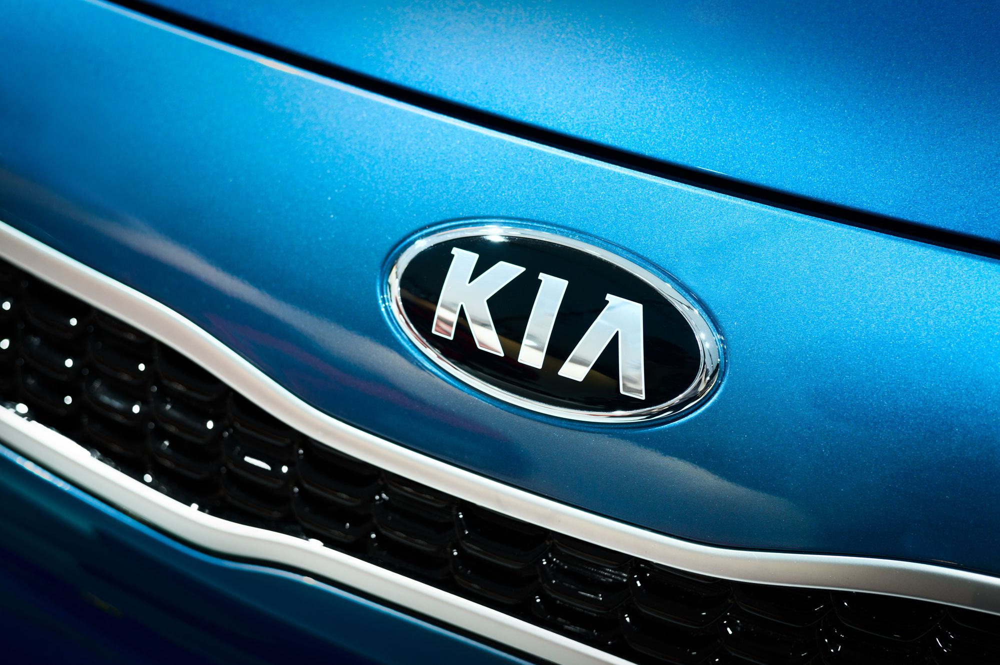 Kia Class Action Claims Vermin Attracted to SoyBased Components Top