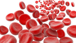 Xarelto gastrointestinal bleeding anemia red blood cells
