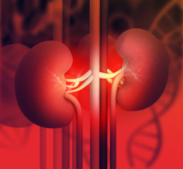 PPI Kidney Side Effects Include Chronic Kidney Disease, Says Woman's