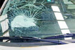 broken windshield and airbag