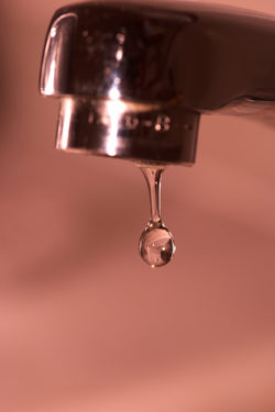 Aquasana water filter water faucet