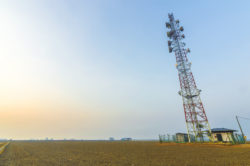 Telecommunication towers on an agricultural field