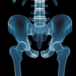 Human hip 3D rendering isolated on black