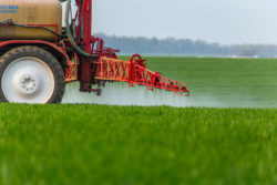 Lawsuit Claims That Active Ingredient In Roundup Herbicide Can Cause Cancer