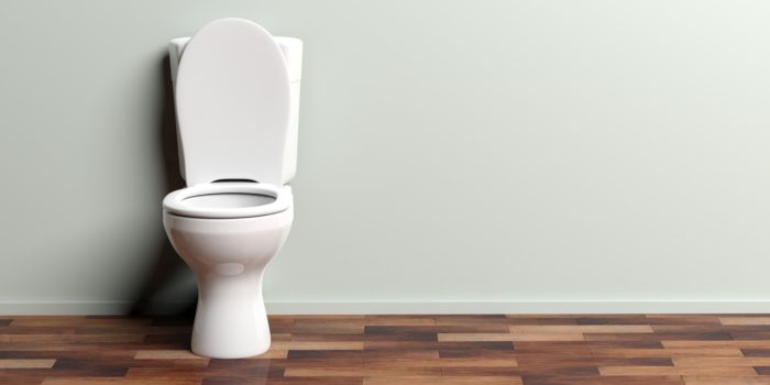 Toilet against a light-colored wall in a room with wood laminate flooring - durapro class action