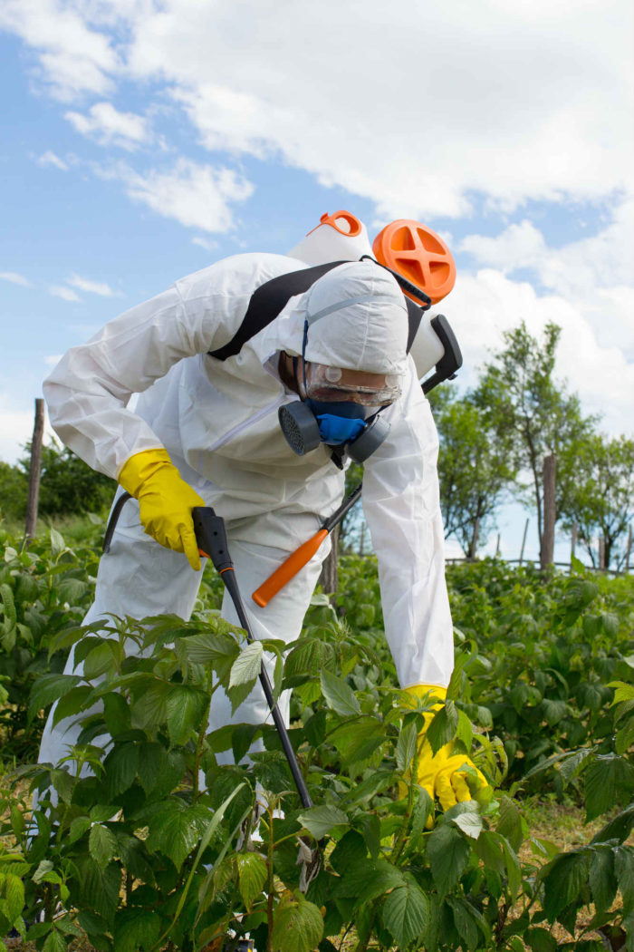 Roundup Weed Killer Cancer Lawsuit Claims Pesticide Isn’t Harmless