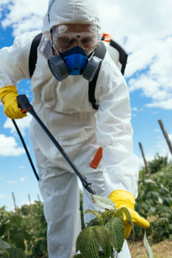 Roundup Ingredients Are Toxic And Carcinogenic According To New Lawsuit
