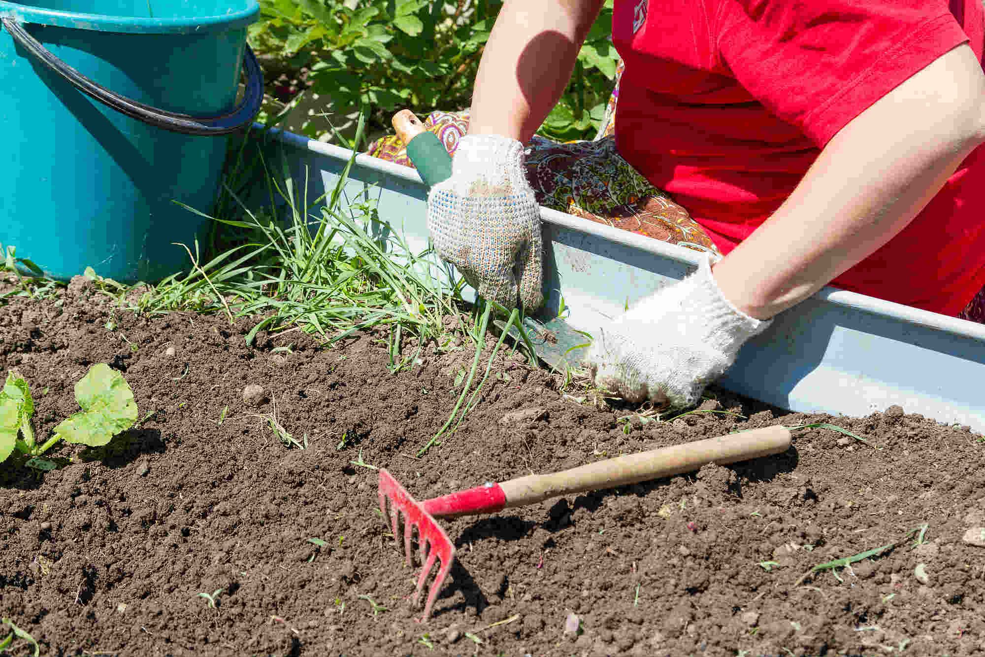 Roundup Cancer Lawsuit Alleges Weed Killer Causes Mantle Cell Lymphoma