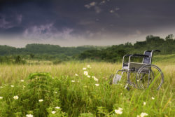 Deceased Man's Estate Sues over Denied Disability Insurance Appeal