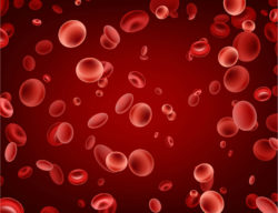 Red blood cells floating against a red background