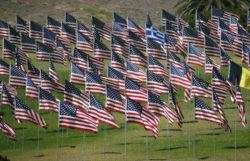 American flags arranged as a memorial.