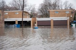 hurricane and flood insurance help hurricane victims