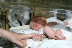 Infant in NICU with parent's hand