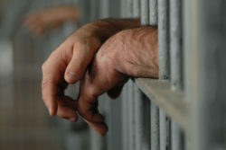 Close-up of man's hands behind bars