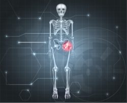 skeleton with glowing hip on gray background