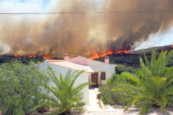 A wildfire is approaching a house.