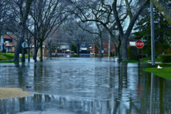 Flood waters fill a neighborhood street.