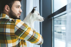 A man holds a dog and looks out a window.