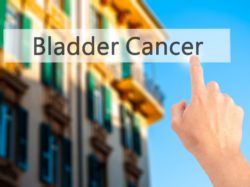 Bladder cancer in search bar